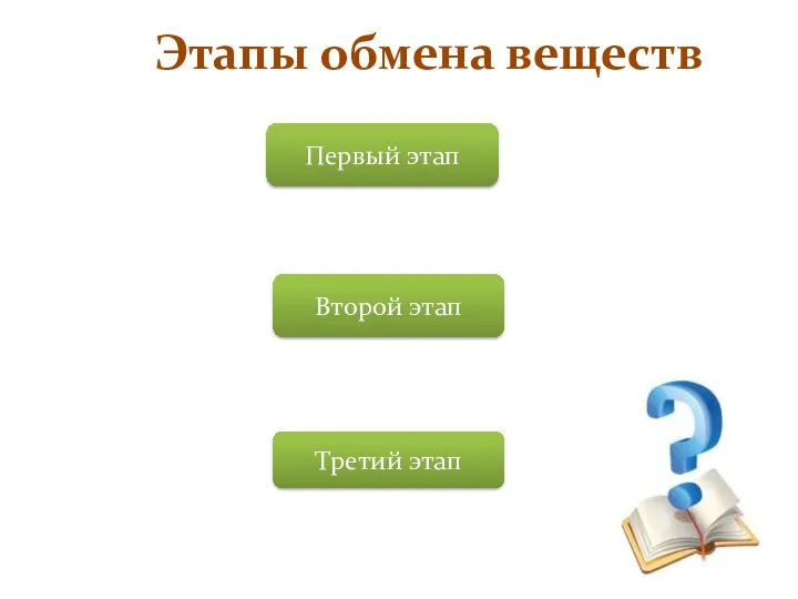 Этапы обмена веществ Первый этап Второй этап Третий этап