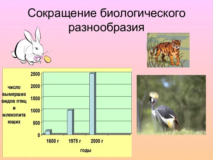 Сокращение биологического разнообразия