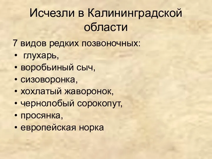 Исчезли в Калининградской области 7 видов редких позвоночных: глухарь, воробьиный сыч, сизоворонка,