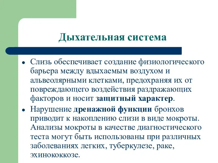 Дыхательная система Слизь обеспечивает создание физиологического барьера между вдыхаемым воздухом и альвеолярными