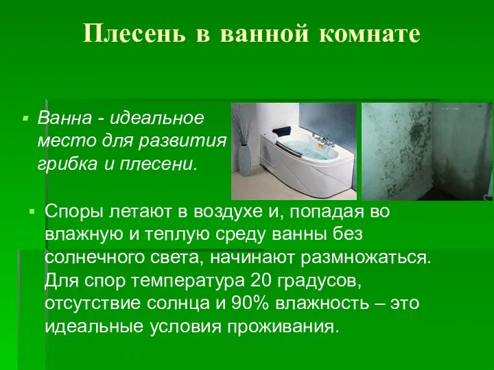 Плесень в ванной комнате Ванна - идеальное место для развития грибка и