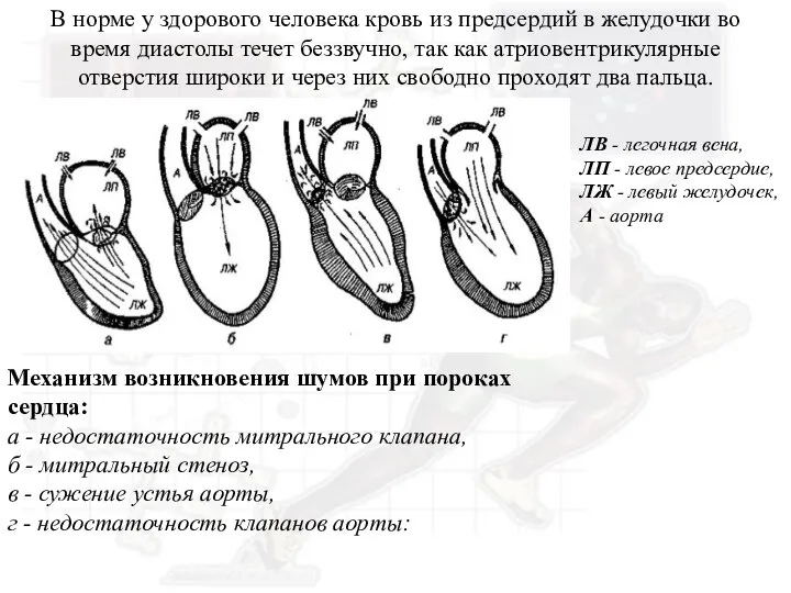 В норме у здорового человека кровь из предсердий в желудочки во время