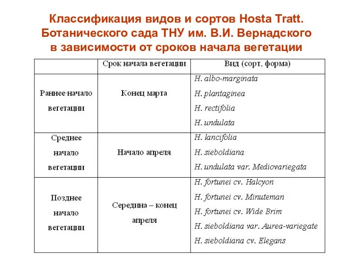 Классификация видов и сортов Hosta Tratt. Ботанического сада ТНУ им. В.И. Вернадского