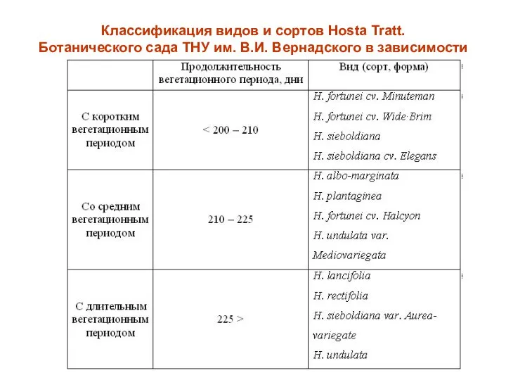 Классификация видов и сортов Hosta Tratt. Ботанического сада ТНУ им. В.И. Вернадского