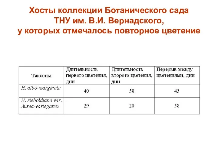 Хосты коллекции Ботанического сада ТНУ им. В.И. Вернадского, у которых отмечалось повторное цветение