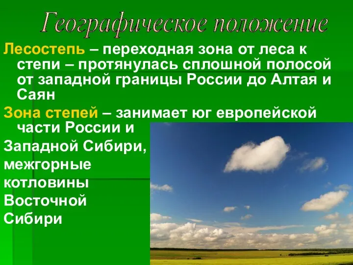 Лесостепь – переходная зона от леса к степи – протянулась сплошной полосой