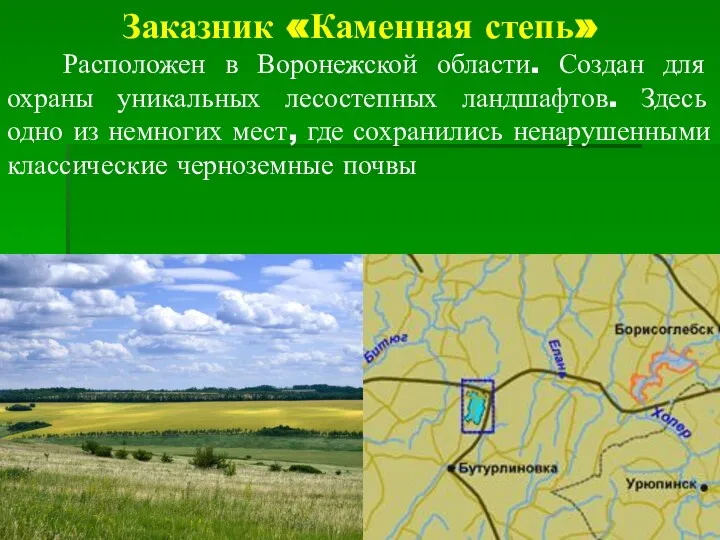 Заказник «Каменная степь» Расположен в Воронежской области. Создан для охраны уникальных лесостепных