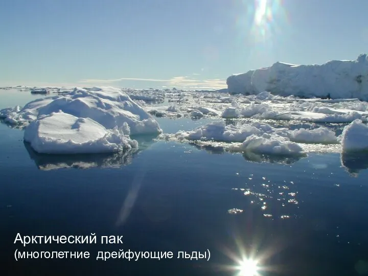 Арктический пак (многолетние дрейфующие льды)