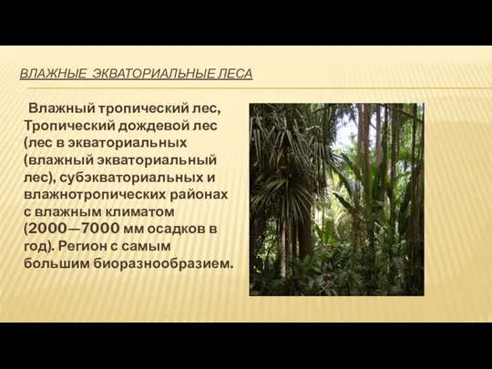 ВЛАЖНЫЕ ЭКВАТОРИАЛЬНЫЕ ЛЕСА Влажный тропический лес, Тропический дождевой лес (лес в экваториальных