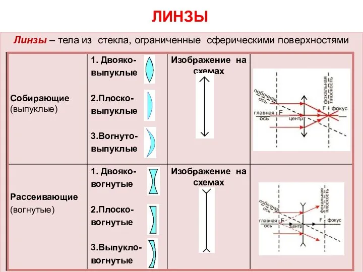 ЛИНЗЫ Линзы – тела из стекла, ограниченные сферическими поверхностями