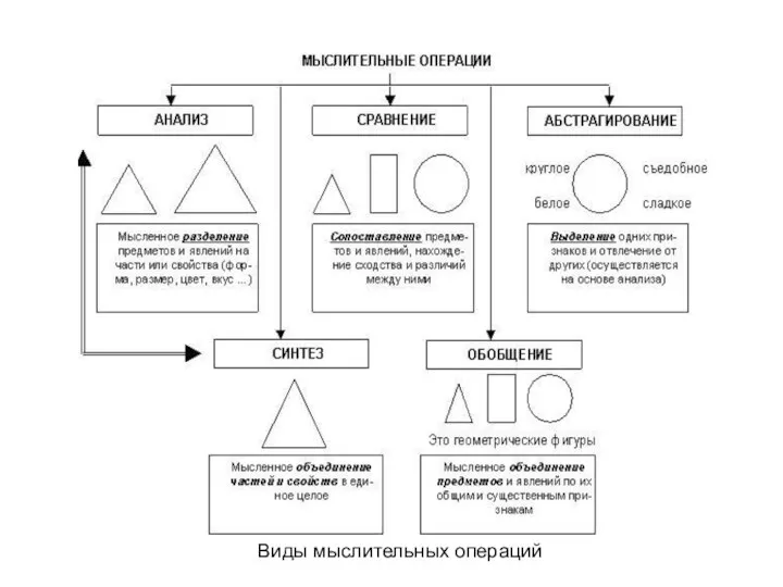 Виды мыслительных операций