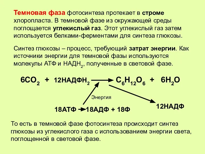 Темновая фаза фотосинтеза протекает в строме хлоропласта. В темновой фазе из окружающей