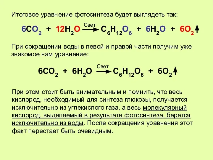 Итоговое уравнение фотосинтеза будет выглядеть так: 6СО2 + 12Н2О С6Н12О6 + 6Н2О