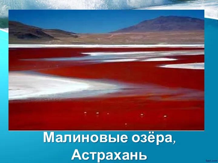 Малиновые озёра, Астрахань