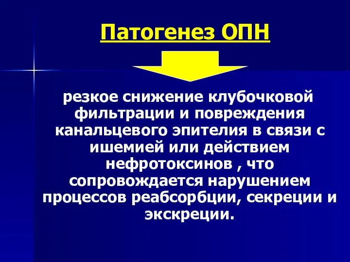 Патогенез ОПН резкое снижение клубочковой фильтрации и повреждения канальцевого эпителия в связи