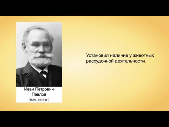Иван Петрович Павлов (1849–1936 гг.) Установил наличие у животных рассудочной деятельности.