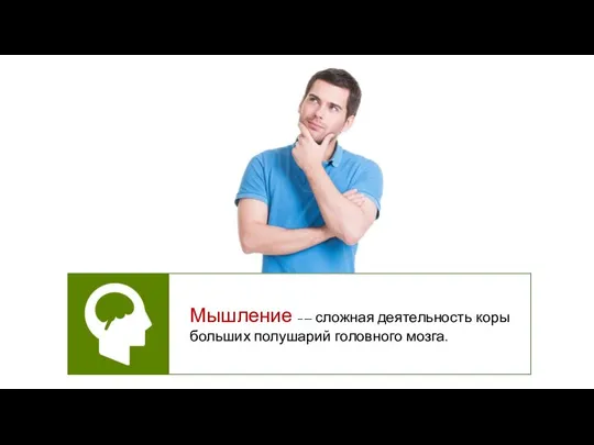 Мышление –— сложная деятельность коры больших полушарий головного мозга.