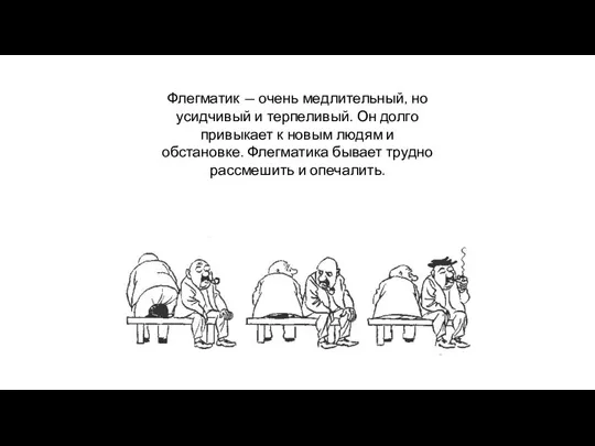 Флегматик — очень медлительный, но усидчивый и терпеливый. Он долго привыкает к