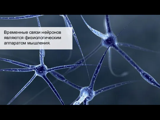 Временные связи нейронов являются физиологическим аппаратом мышления.