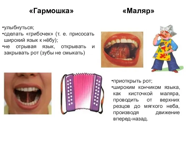 «Гармошка» «Маляр» приоткрыть рот; широким кончиком языка, как кисточкой маляра, проводить от