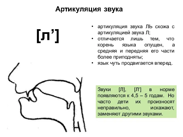 артикуляция звука ЛЬ схожа с артикуляцией звука Л; отличается лишь тем, что