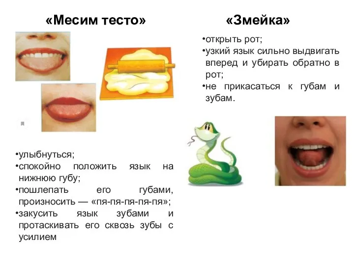 «Месим тесто» «Змейка» улыбнуться; спокойно положить язык на нижнюю губу; пошлепать его