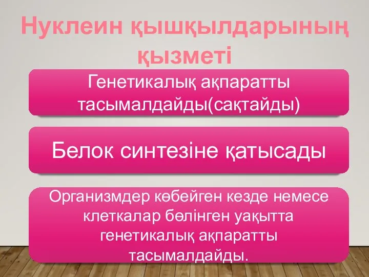 Нуклеин қышқылдарының қызметі Генетикалық ақпаратты тасымалдайды(сақтайды) Белок синтезіне қатысады Организмдер көбейген кезде