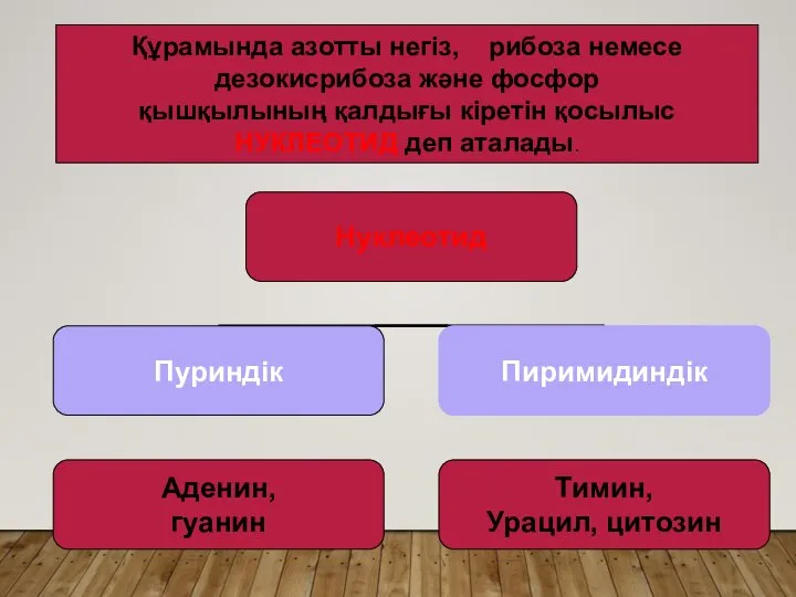 Құрамында азотты негіз, рибоза немесе дезокисрибоза және фосфор қышқылының қалдығы кіретін қосылыс НУКЛЕОТИД деп аталады.