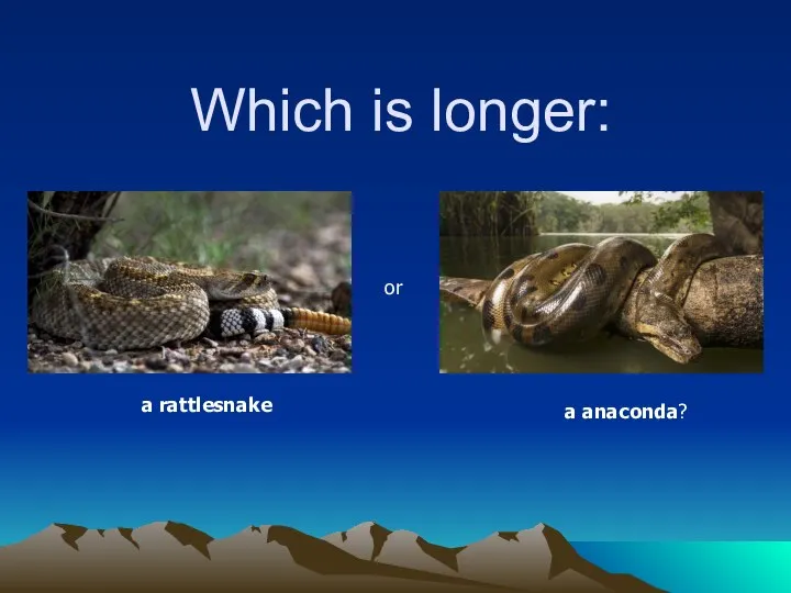 Which is longer: а rattlesnake or a anaconda?