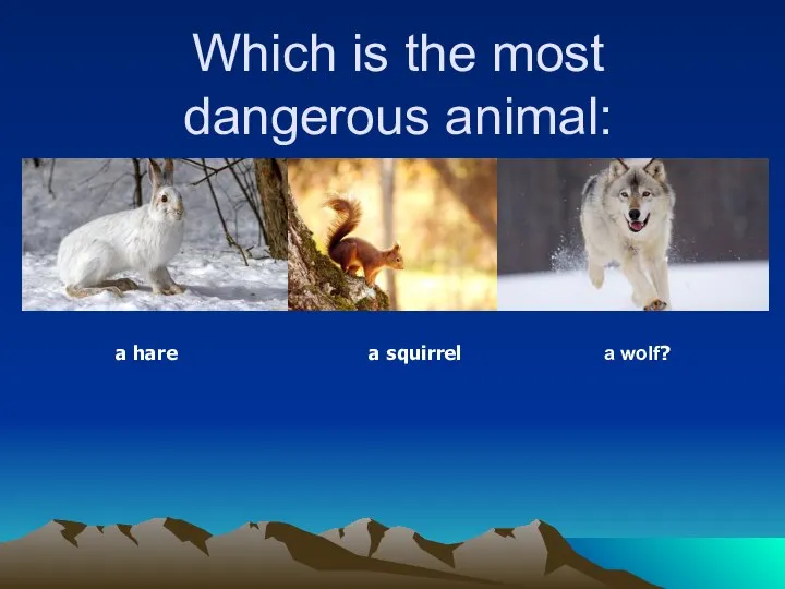 Which is the most dangerous animal: a hare a squirrel a wolf?