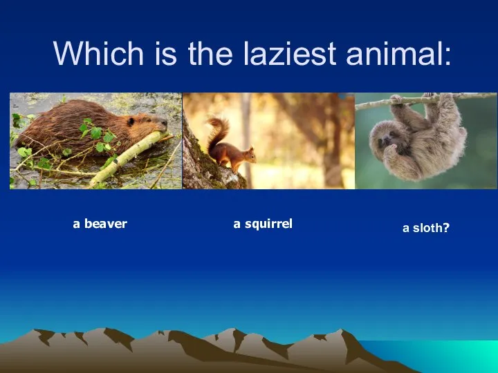 Which is the laziest animal: a beaver a squirrel a sloth?