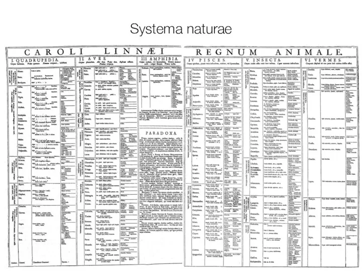 Systema naturae