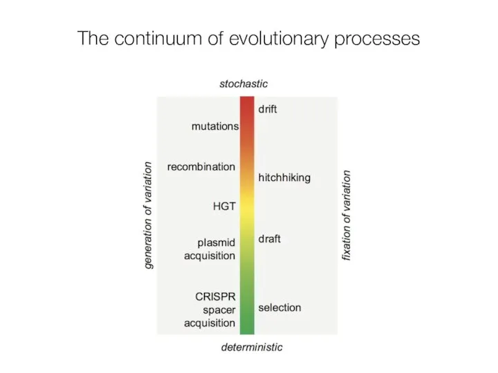 The continuum of evolutionary processes