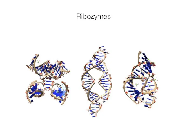 Ribozymes