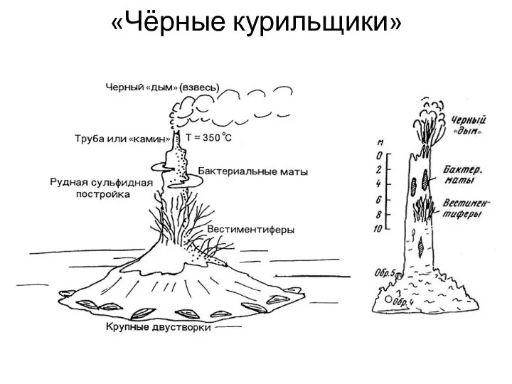 «Чёрные курильщики»