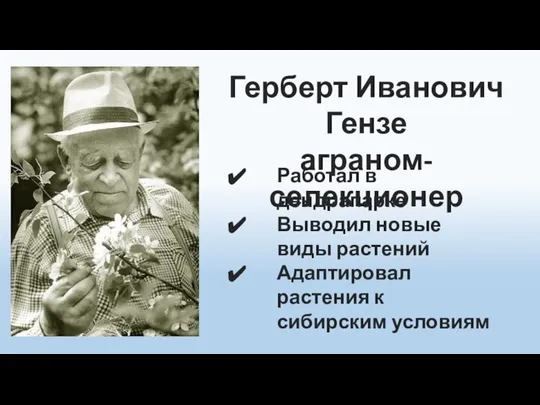 Герберт Иванович Гензе аграном-селекционер Работал в дендрапарке Выводил новые виды растений Адаптировал растения к сибирским условиям