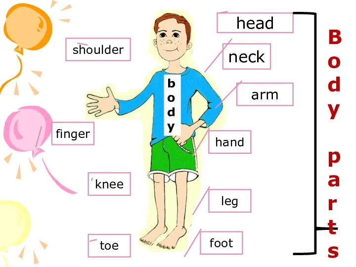 head neck arm hand leg foot toe knee finger shoulder Body parts body