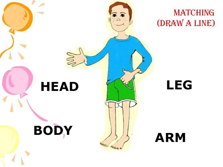 BODY LEG ARM HEAD Matching (draw a line)