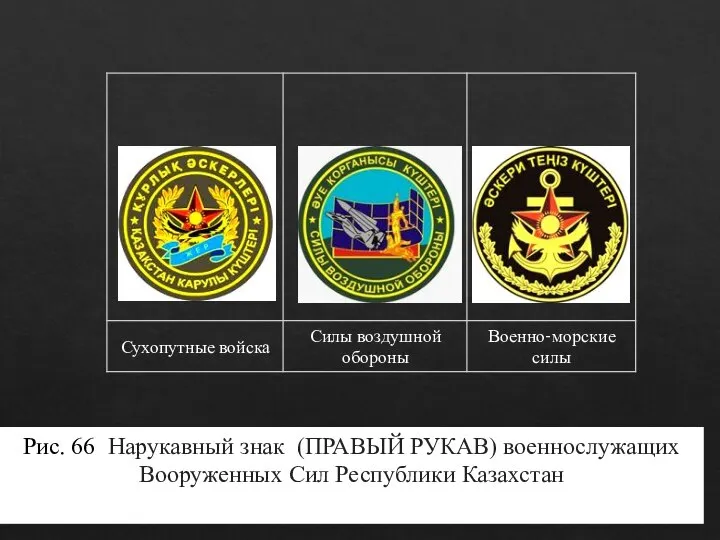 Рис. 66. Нарукавный знак (ПРАВЫЙ РУКАВ) военнослужащих Вооруженных Сил Республики Казахстан