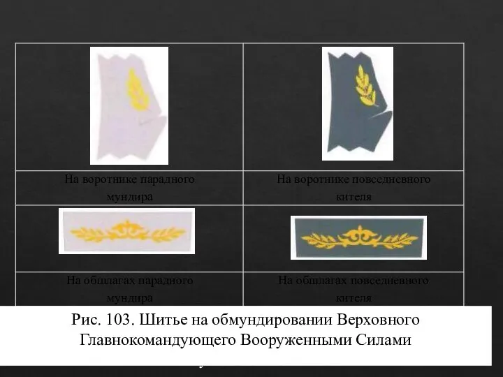 Рис. 103. Шитье на обмундировании Верховного Главнокомандующего Вооруженными Силами Республики Казахстан