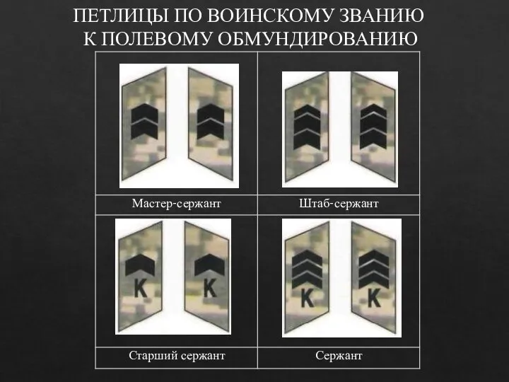 ПЕТЛИЦЫ ПО ВОИНСКОМУ ЗВАНИЮ К ПОЛЕВОМУ ОБМУНДИРОВАНИЮ