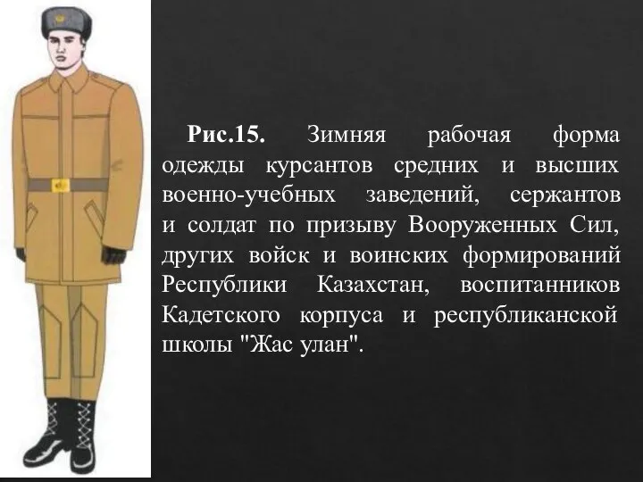 Рис.15. Зимняя рабочая форма одежды курсантов средних и высших военно-учебных заведений, сержантов