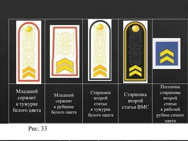 Рис. 33. Погоны и погончики младшего сержанта (старшины второй статьи).