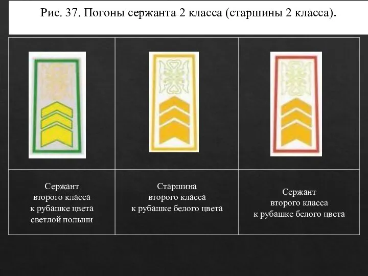 Рис. 37. Погоны сержанта 2 класса (старшины 2 класса).