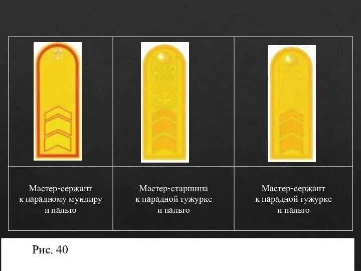 Рис. 40. Погоны мастер – сержанта (мастер - старшины).