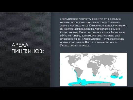 АРЕАЛ ПИНГВИНОВ: Географическое распространение этих птиц довольно обширно, но предпочитают они прохладу.