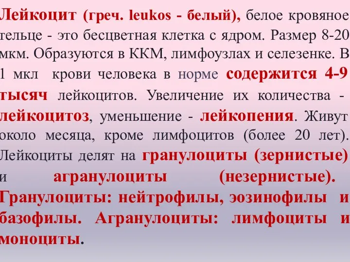 Лейкоцит (греч. leukos - белый), белое кровяное тельце - это бесцветная клетка