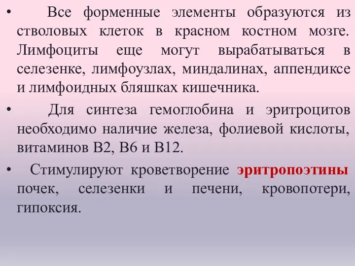 Все форменные элементы образуются из стволовых клеток в красном костном мозге. Лимфоциты