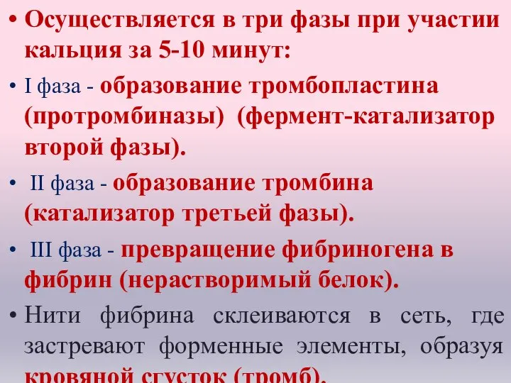 Осуществляется в три фазы при участии кальция за 5-10 минут: I фаза