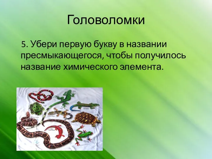 Головоломки 5. Убери первую букву в названии пресмыкающегося, чтобы получилось название химического элемента.